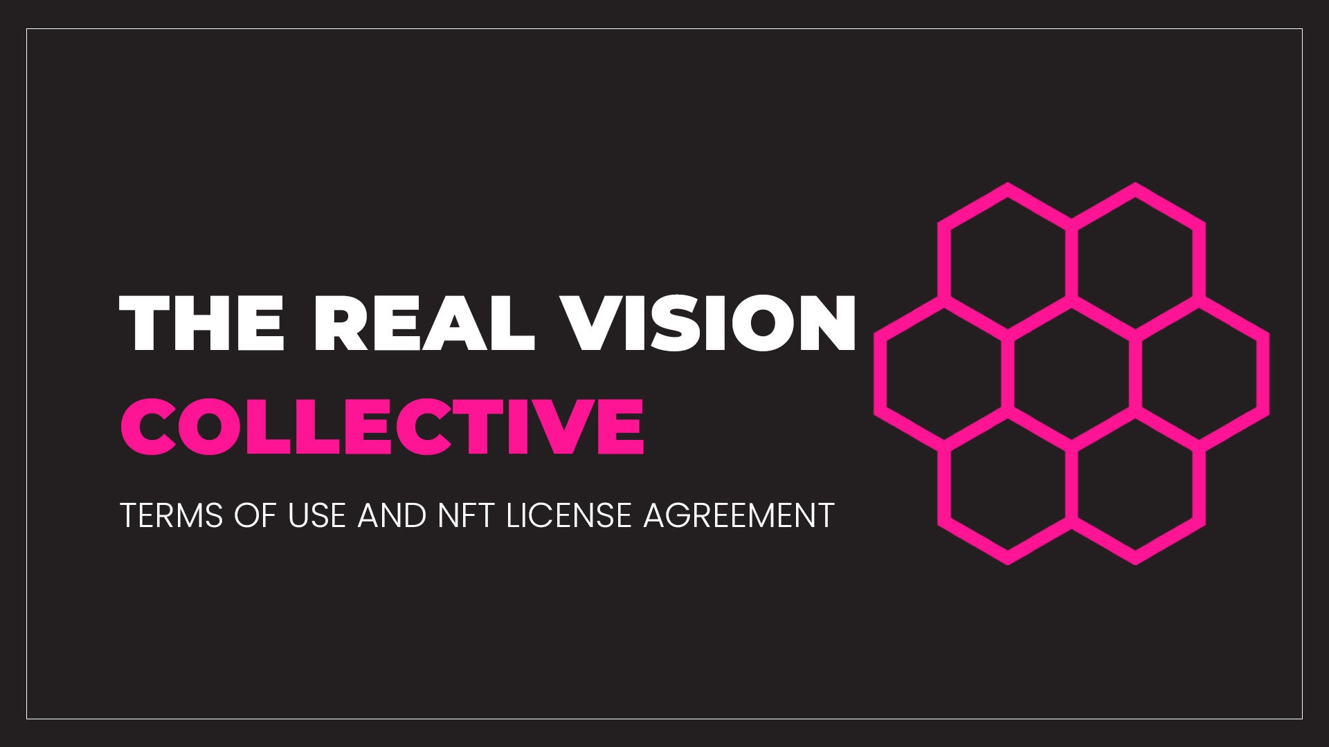Terms & Conditions — The Real Vision Collective | Real Vision